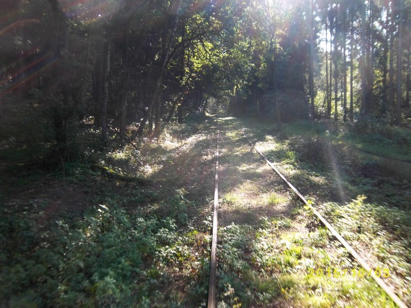 ZWNEGI8